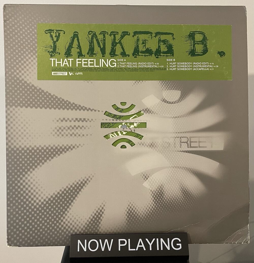 Yankee B - That Feeling / Hurt Somebody 12” Hip Hop Pop Rap 1998